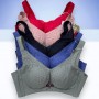 Premium Quality Bra 6253