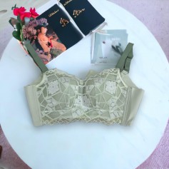 Premium Quality Bra b02101
