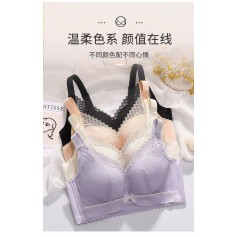 Premium Quality Push Up Bra 1630