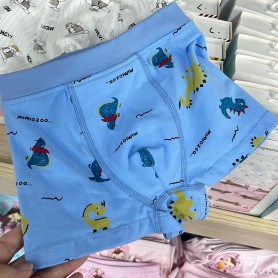 Premium Quality Cotton Kids Panties Box of 2pcs