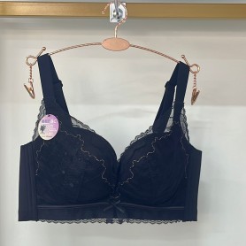 Premium Quality Push bra 202401